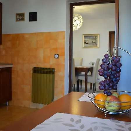 Vila Jelena - For 6 To 8 Persons In Sv Filip I Jakov * Sveti Filip i Jakov