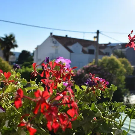 Vila Jelena - For 6 To 8 Persons In Sv Filip I Jakov *